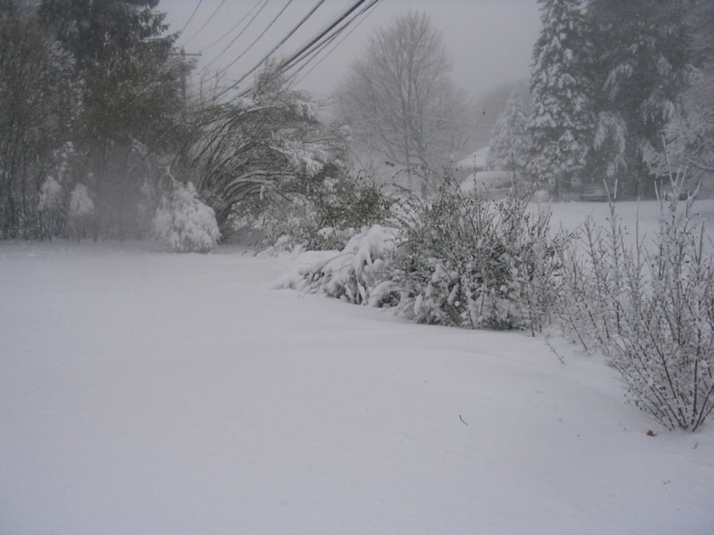 picture_020.jpg